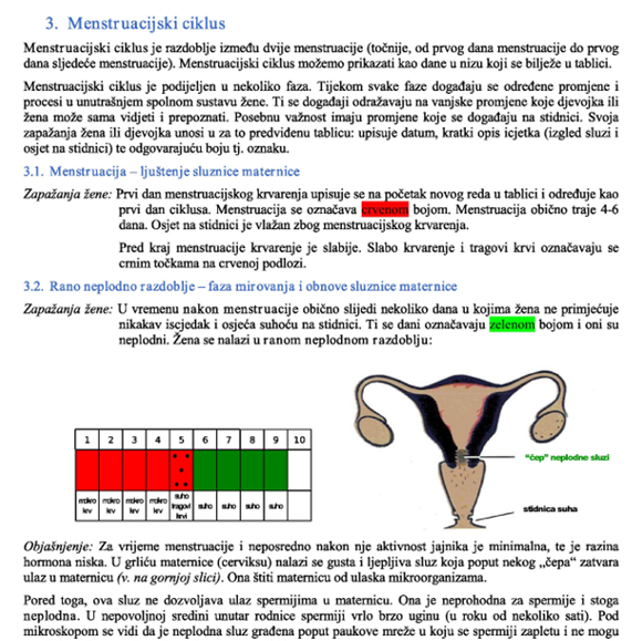 Menstruacijski ciklus 1
