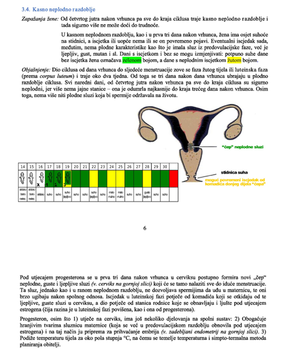 Menstruacijski ciklus 5