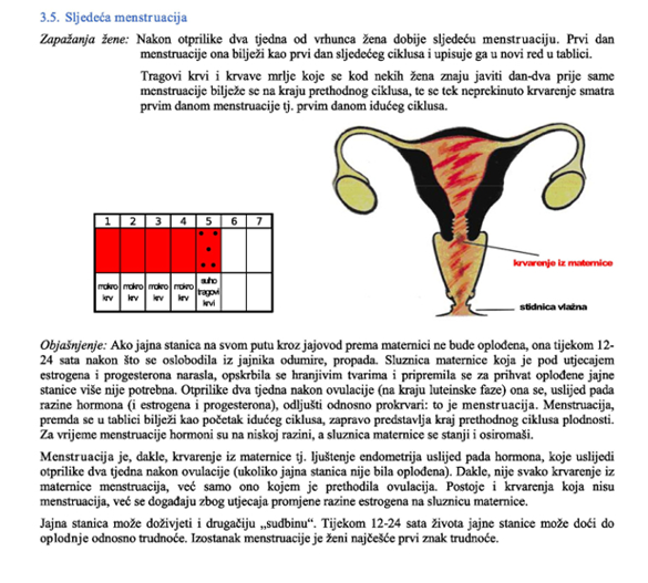 Menstruacijski ciklus 6